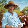 Thumb_a-diamond-in-the-dust-9781925685084_hr