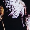 Thumb_dangerous_song_web_image__2_