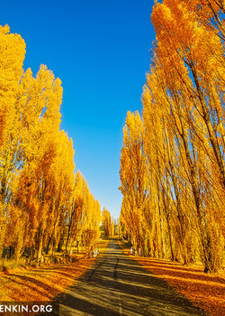 Default_au-meadow-flat-autumn-0001