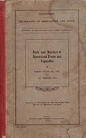 Thumb_221951
