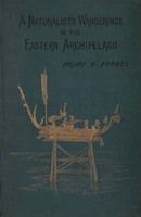 Thumb_255427